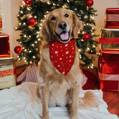 CROWNED BEAUTY Christmas dog bandana one-side reversible design for quick style changes
