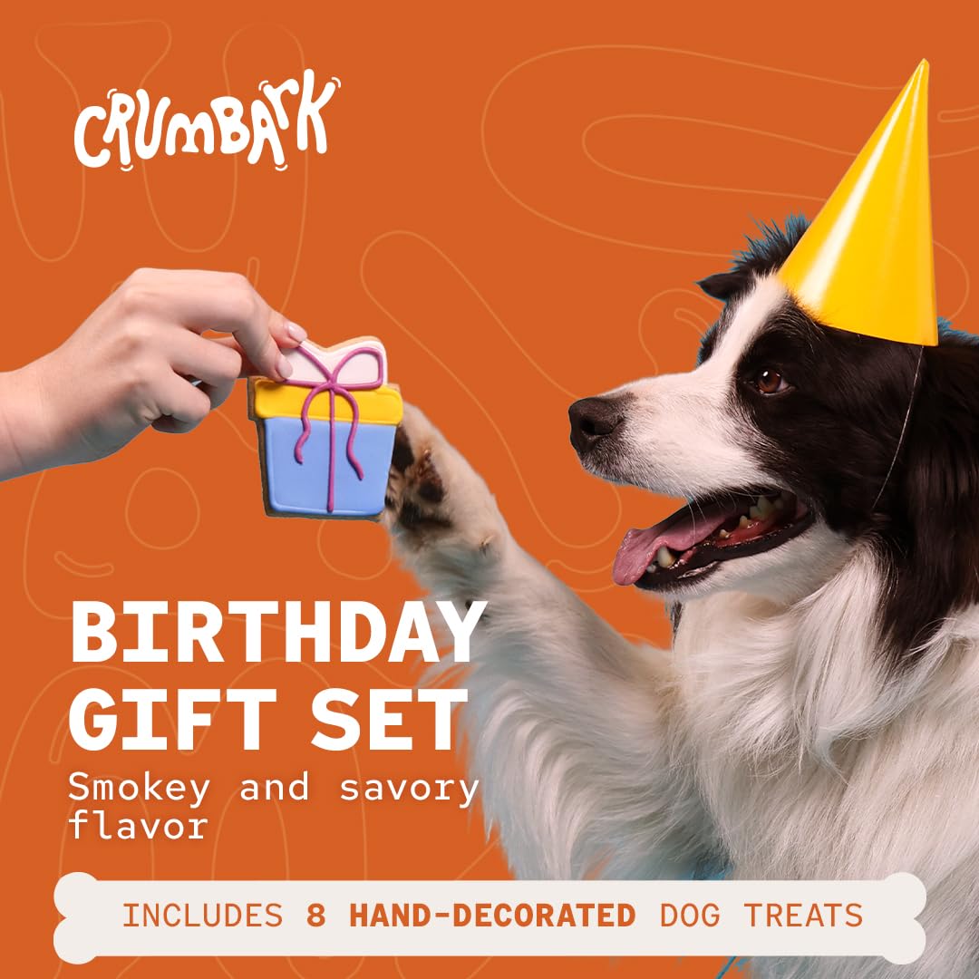 CRUMBARK hand-decorated dog cookies 62g showcase premium birthday artwork