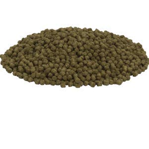 CrystalClear feeding scene shows pond fish feeding smoothly with dispersed pellets