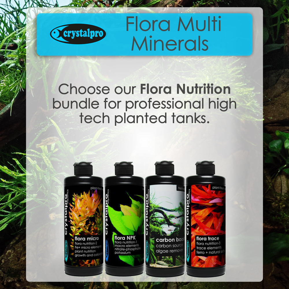 Crystalpro Flora thriving in a low-light planted tank for steady growth.