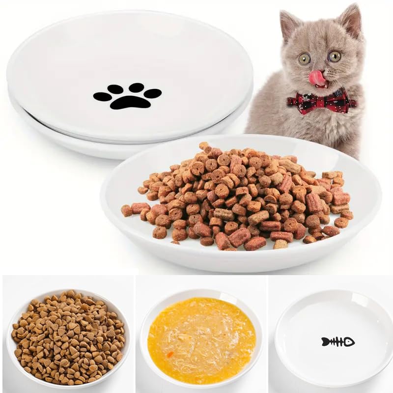 CSD dining-room setup with bowls ready for indoor cats and small pets