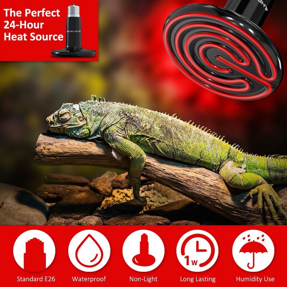 CTKcom reptile ceramic heat lamp 200W in-use coop demonstrates efficient heat distribution.