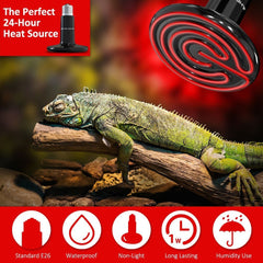 CTKcom reptile ceramic heat lamp 200W in-use coop demonstrates efficient heat distribution.