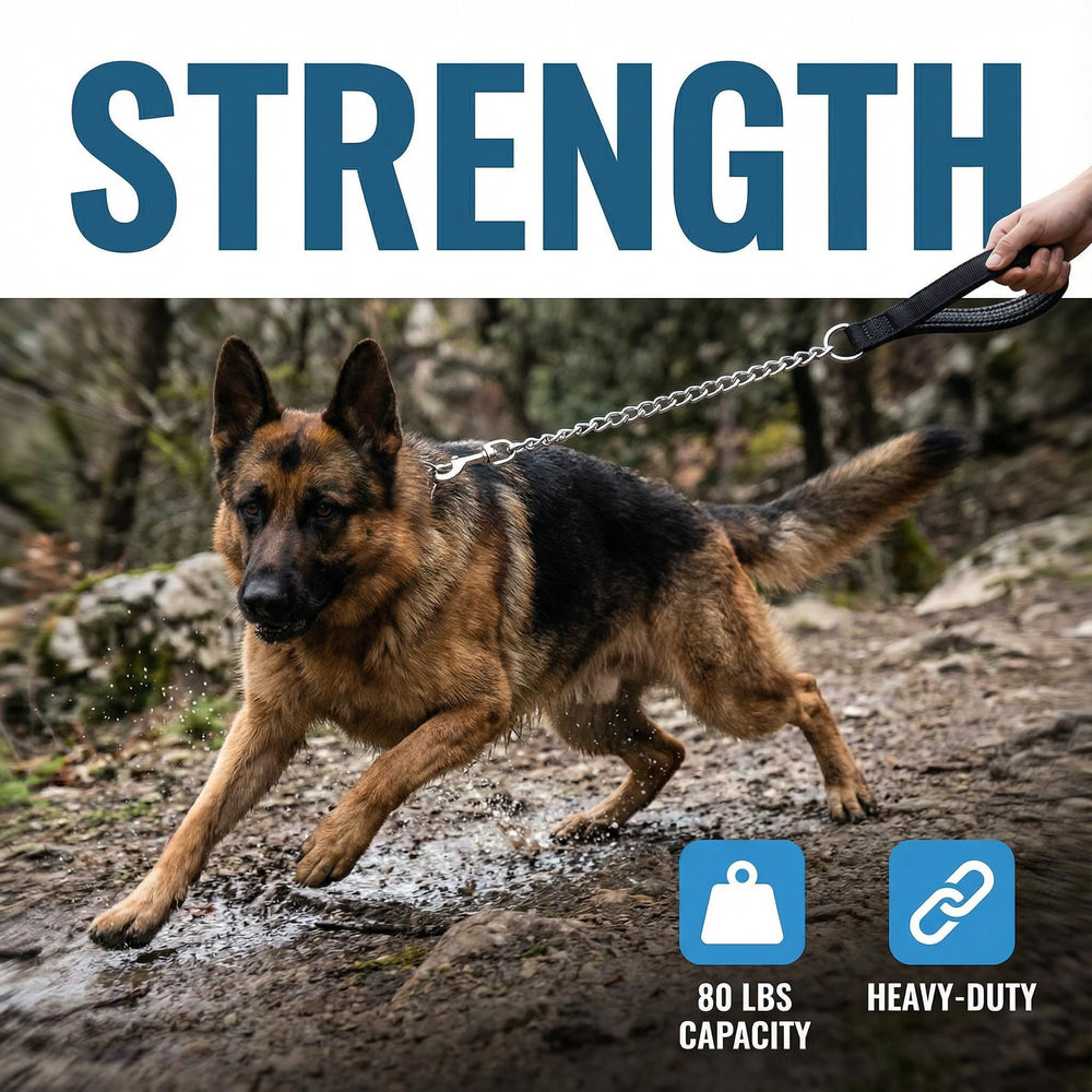 CtopoGo leash aids training with controlled guidance and firm handling