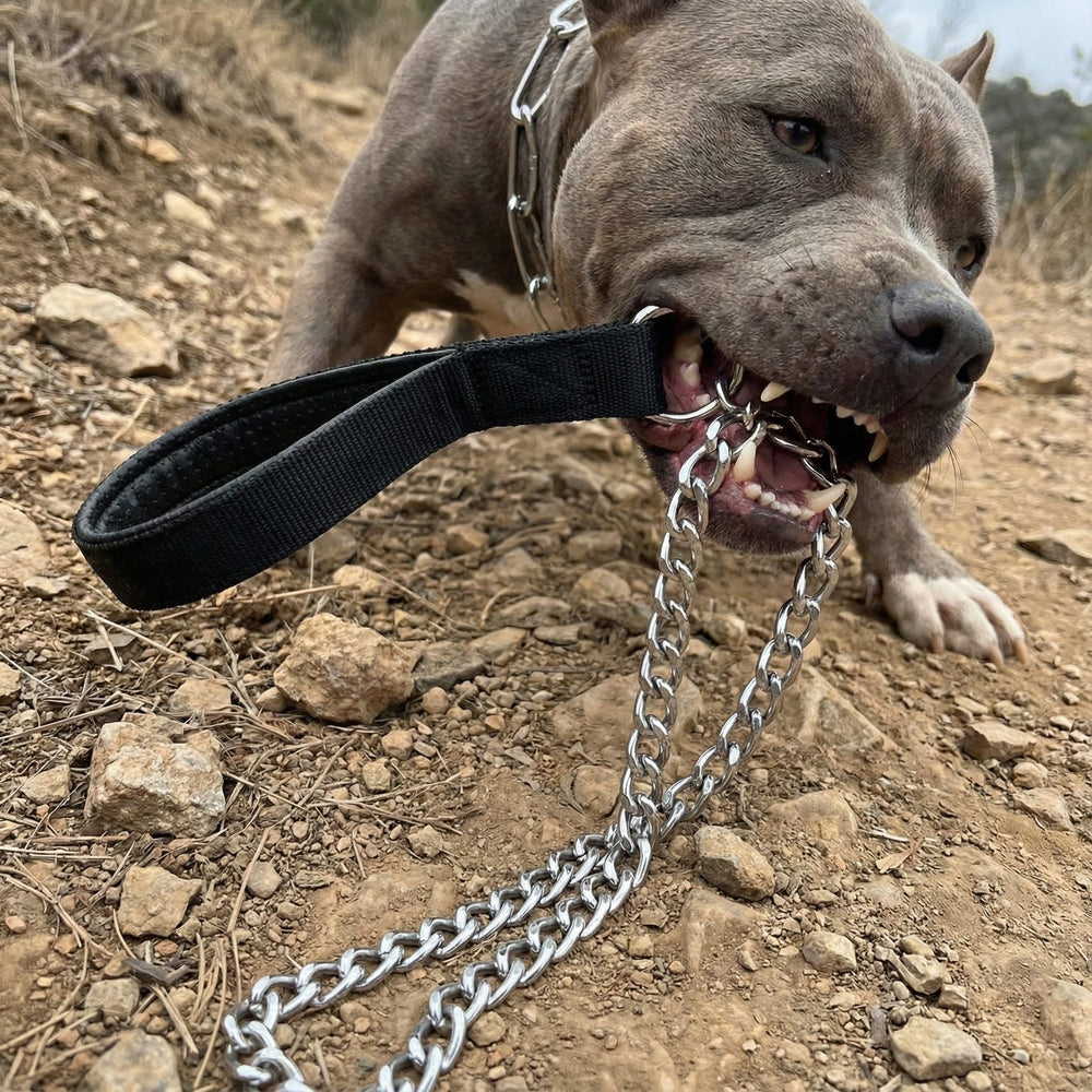CtopoGo heavy-duty leash padded handle close-up shows comfortable grip for long walks