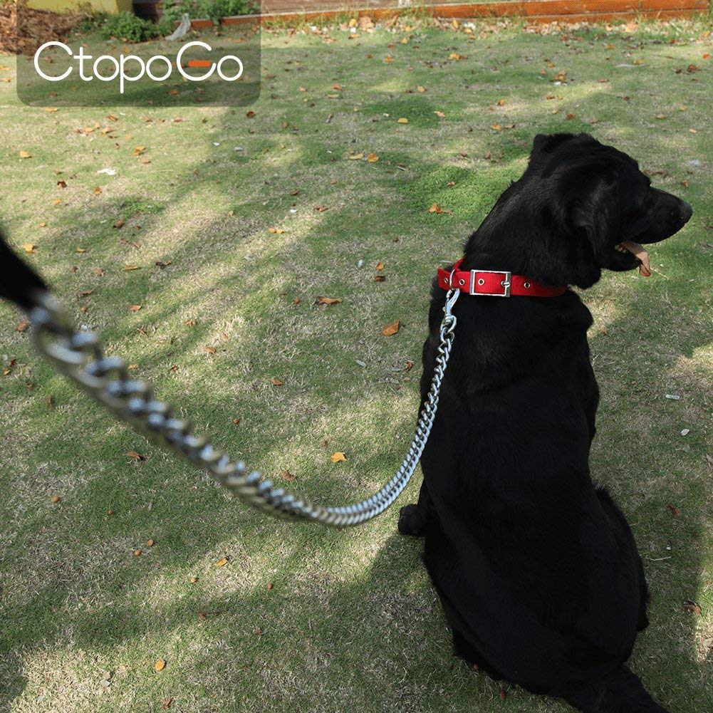 CtopoGo leash designed for medium to large dogs during daily walks
