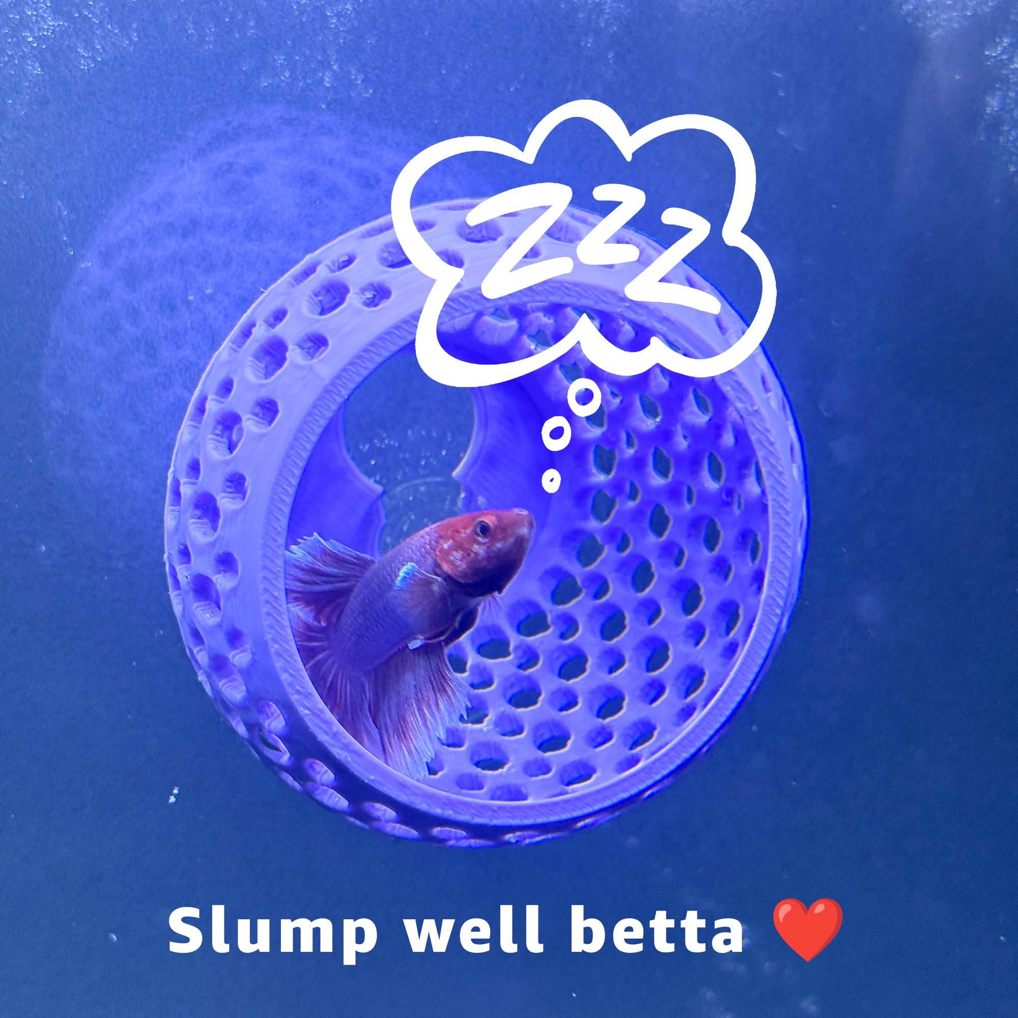 CTWPets Betta Bulb Hide 2.0 shows a secure suction cup attachment to tank glass.