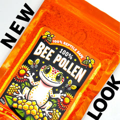 CTWPets gecko treat dusting on feeder insects showcases a healthy enrichment option