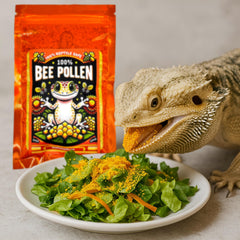 CTWPets isopods feeding on pollen highlights a natural nutrition source