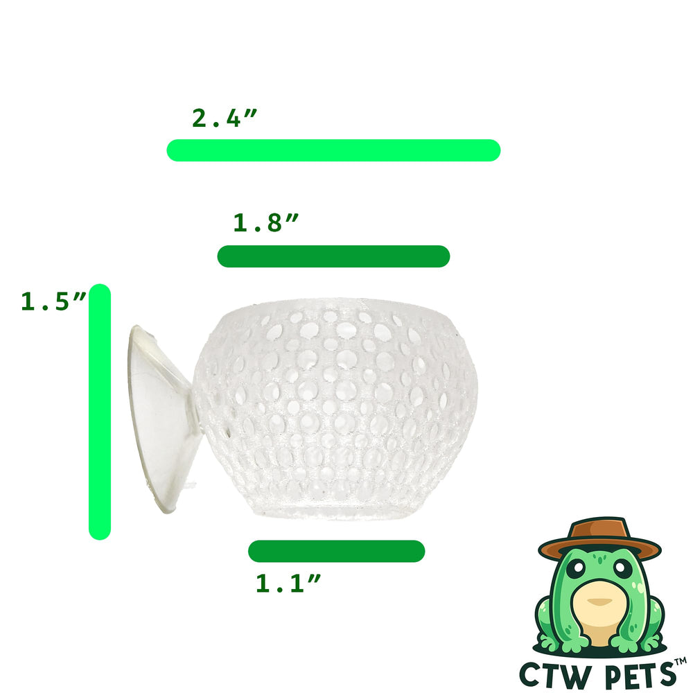 CTWPets Natural Betta Bulb Hide corner placement demonstrates secure suction for stable positioning