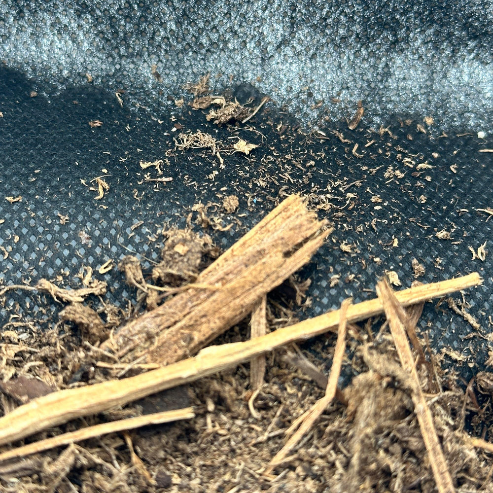 CTWPets Reptile Substrate Liner easier cleanup on terrarium floor