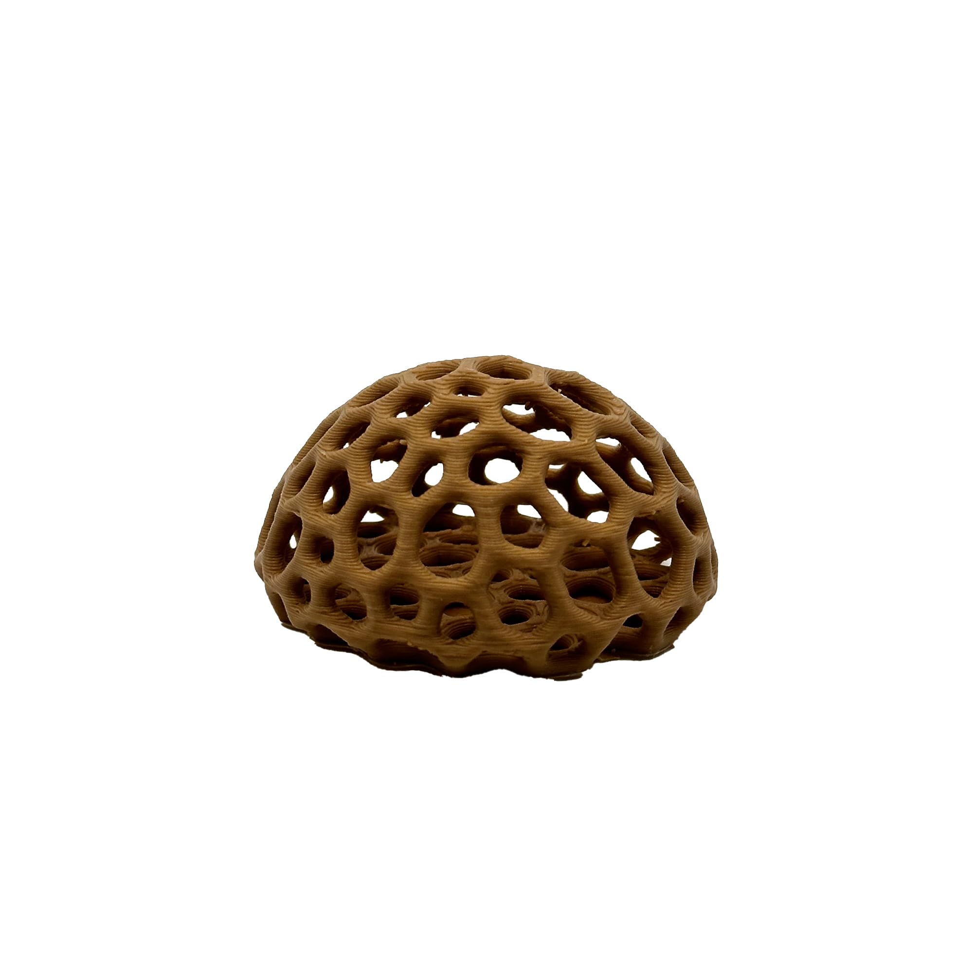 CTWPets Shrimp Dome Hide closeup highlights 3D printed texture safe for shrimp
