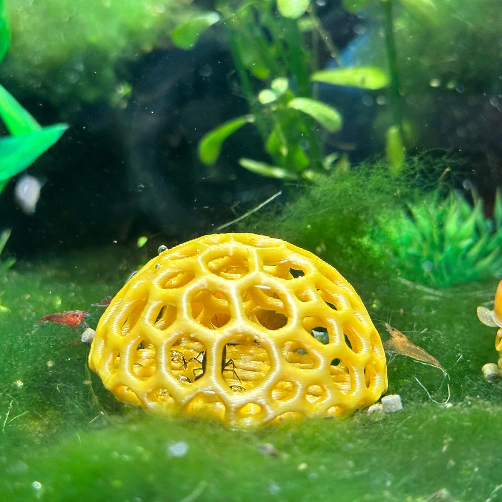CTWPets Shrimp Dome Hide light-brown color complements substrate and plants