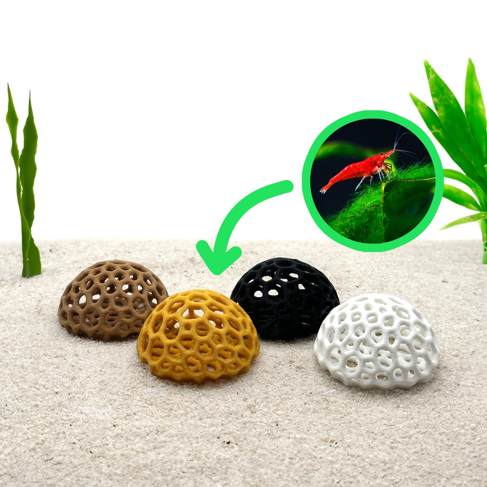 CTWPets Shrimp Dome Hide well-positioned shelter encourages natural behavior in tank