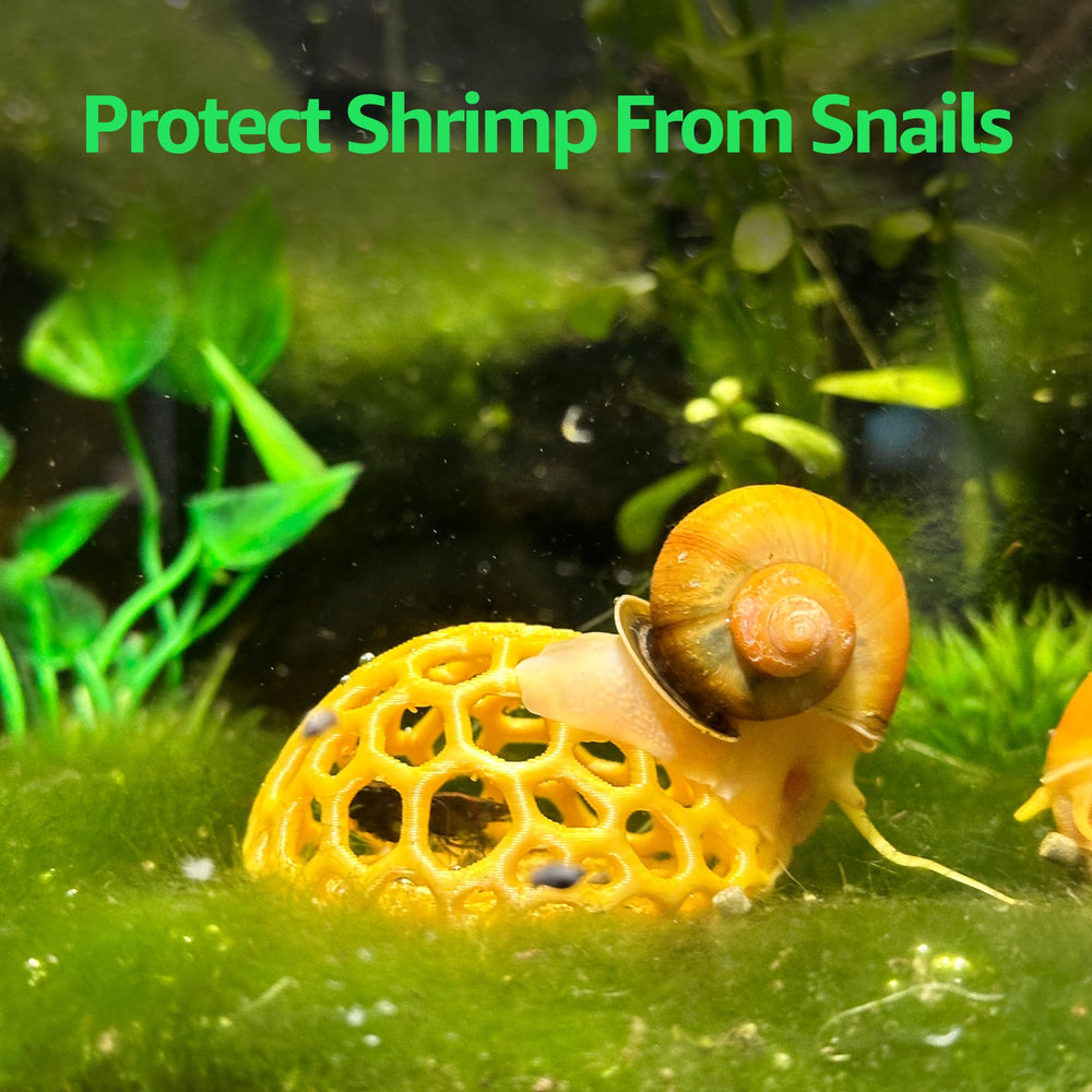 CTWPets Shrimp Dome Hide side view highlights stable placement in tank