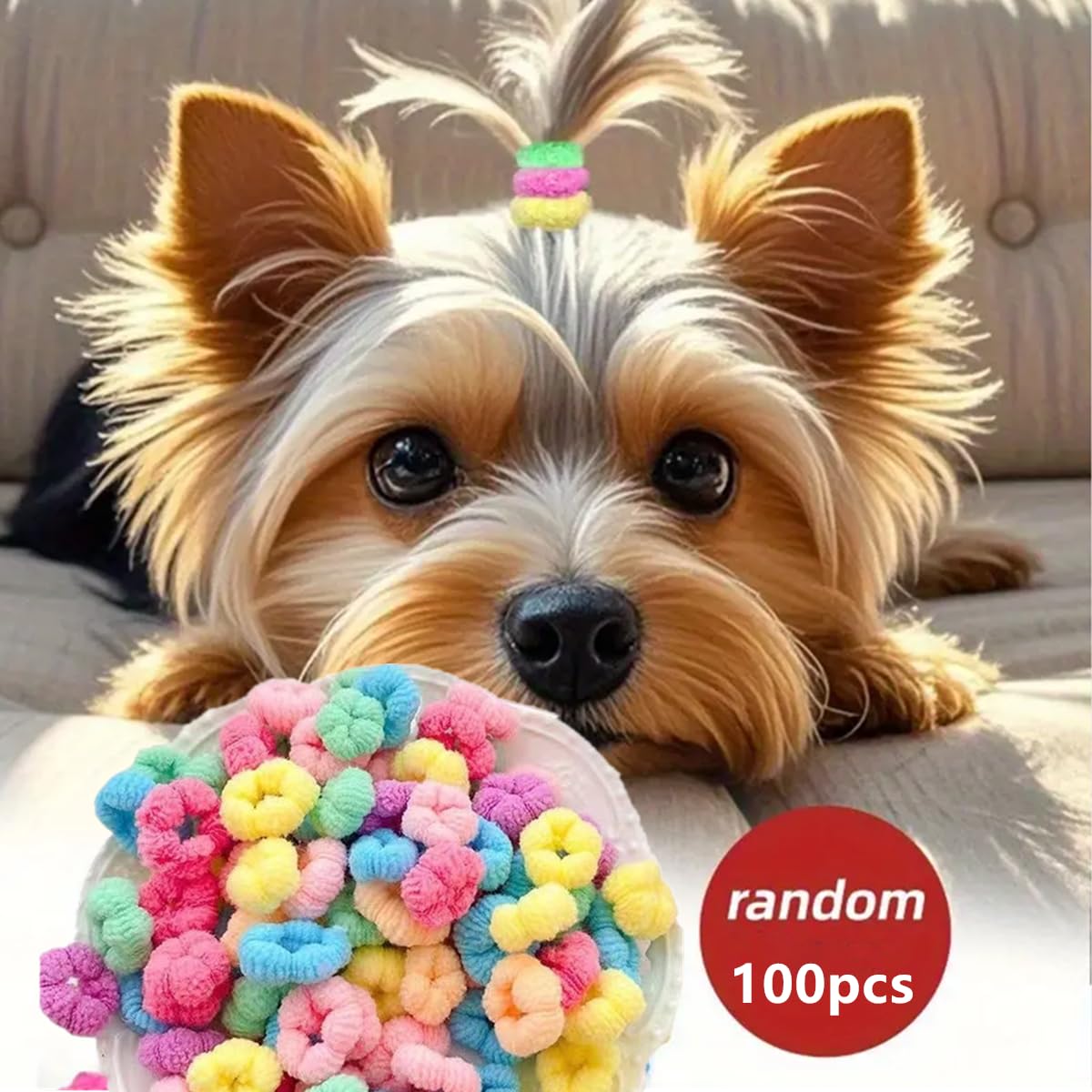 Cuchenhuan pastel colors for versatile dog grooming and styling