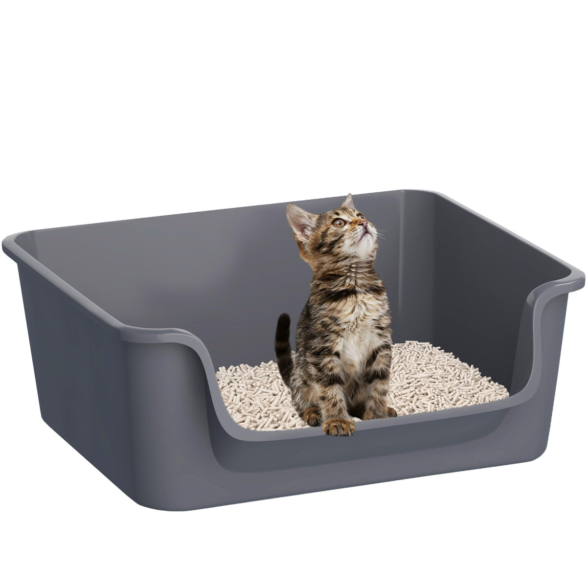 Cuddpaw open-top litter box interior view highlights its spacious space for cats.