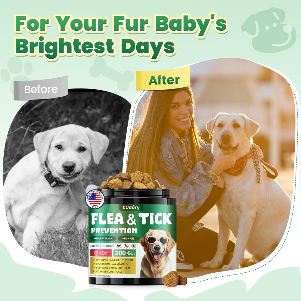 Cudory-all-breeds-200-chews-can spotlight durability and long shelf life.