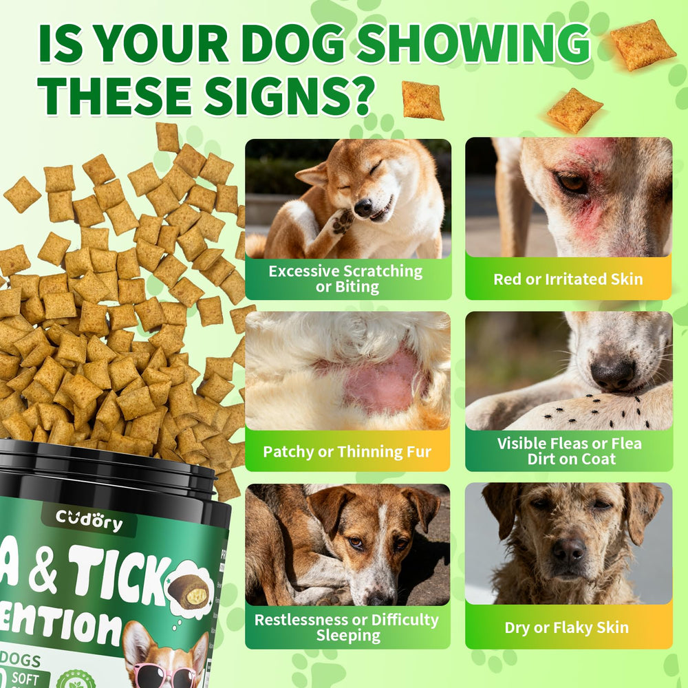 Cudory brewer’s yeast nutrition in chews for skin health.