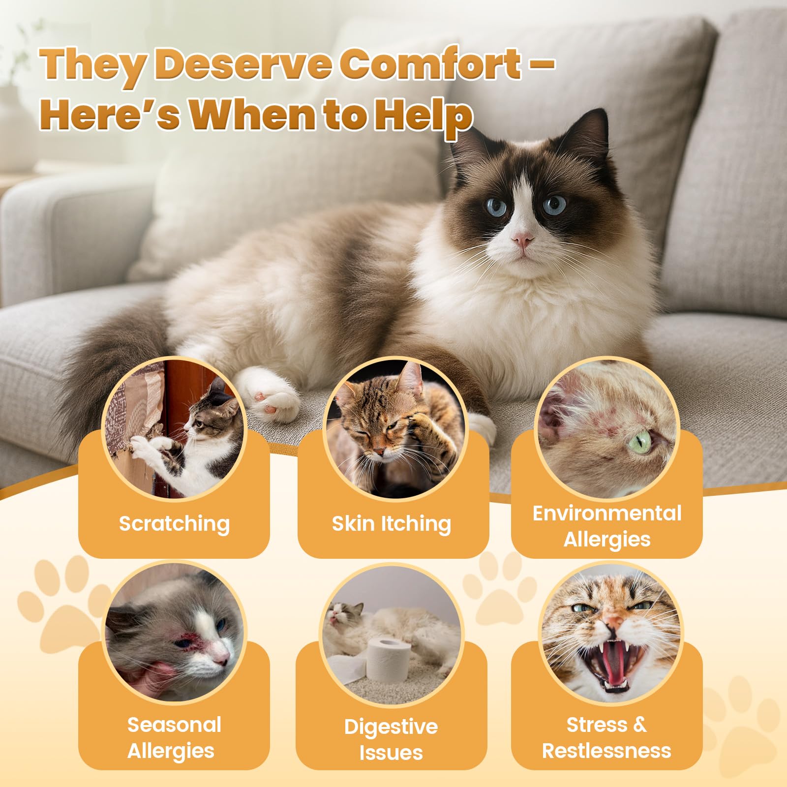 Cudory cat allergy chews fish oil – supports skin health with omega-3 benefits
