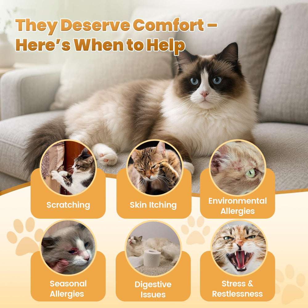 Cudory cat allergy chews fish oil – supports skin health with omega-3 benefits