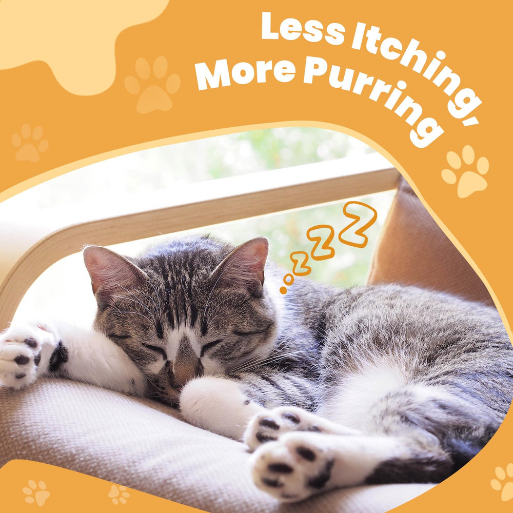 Cudory cat allergy chews turmeric quercetin – natural support for seasonal discomfort