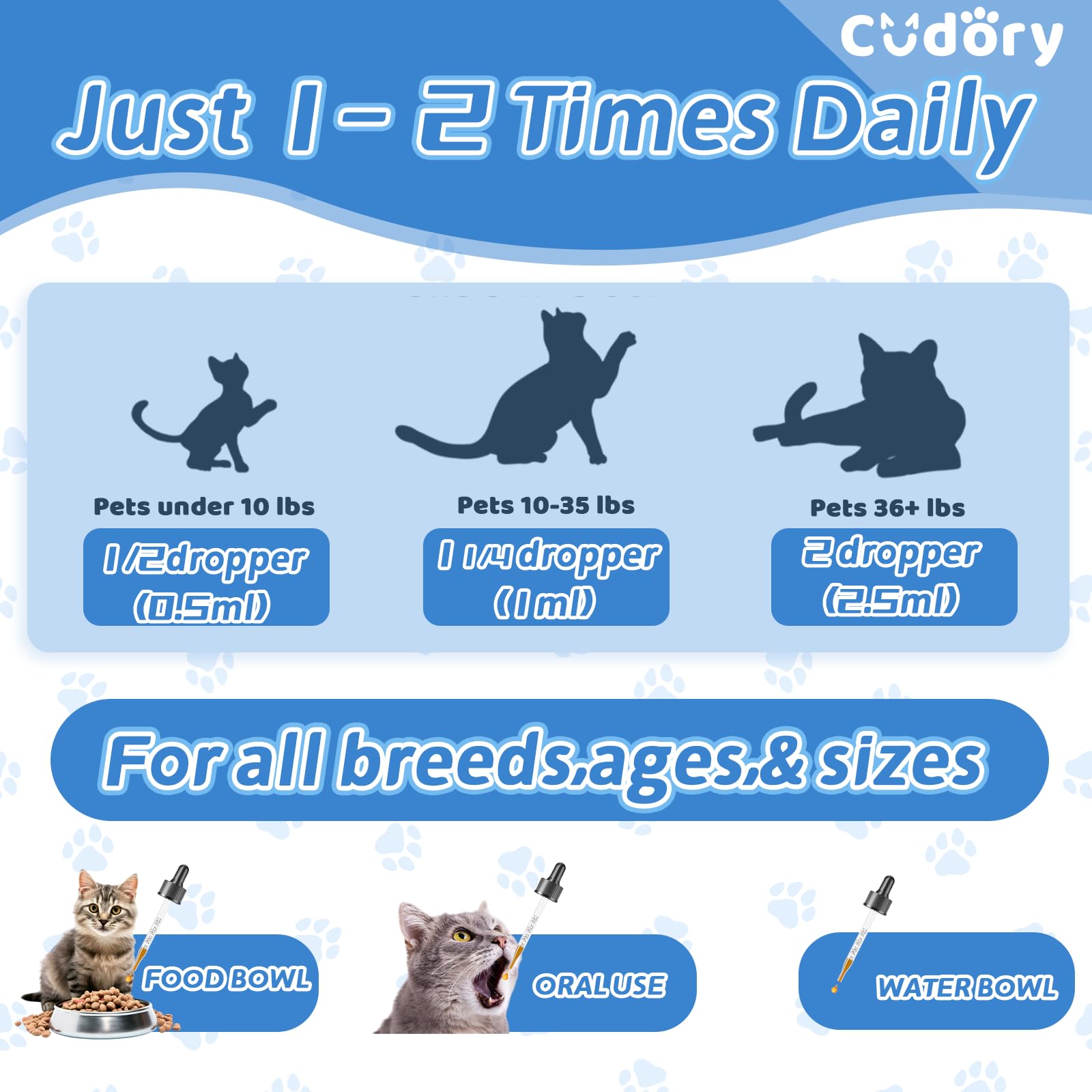 Cudory cat antibiotics chicken-flavor-taste — palatable supplement for daily routines
