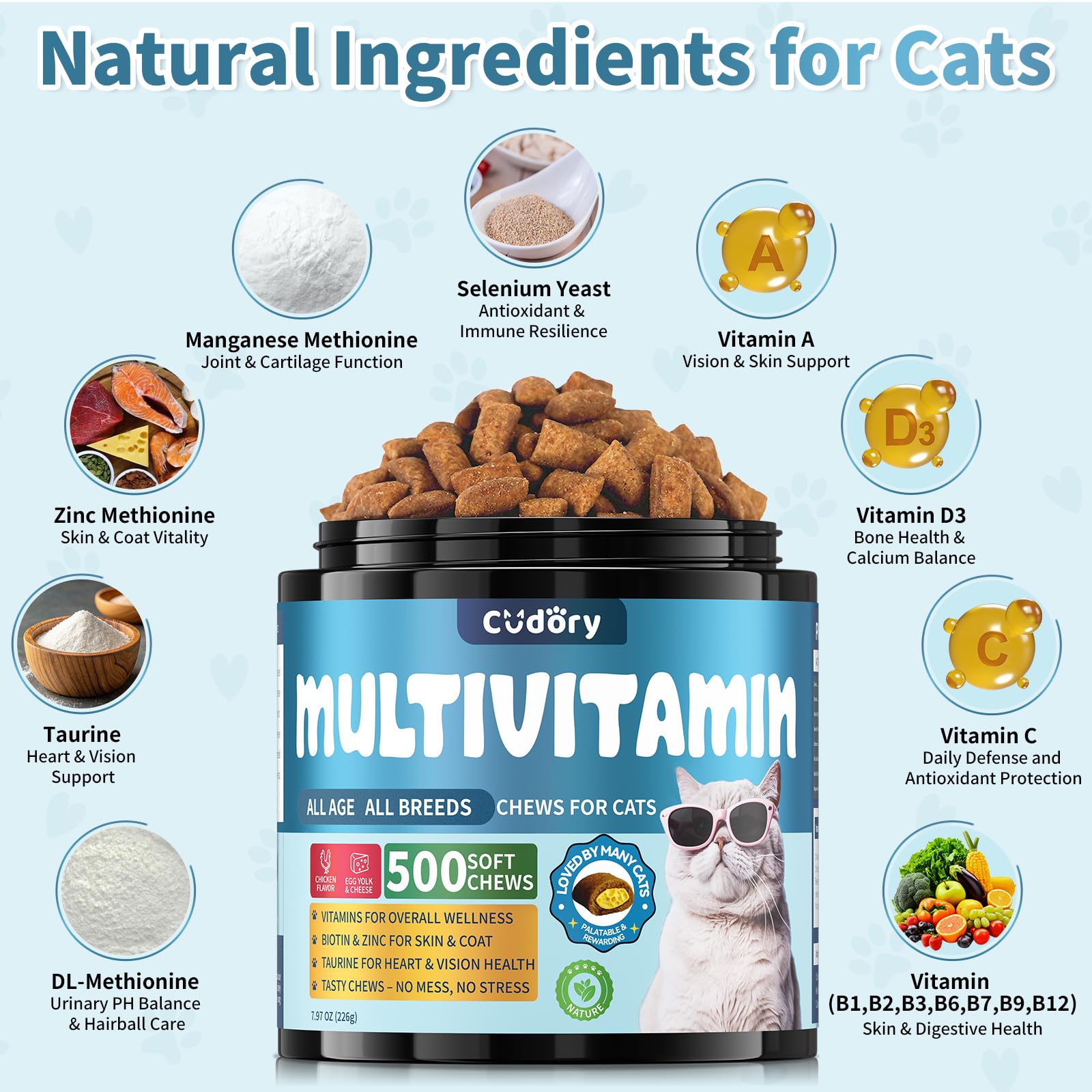 Cudory Cat Multivitamin-b-complex-energy-metabolism illustration signals energy and metabolism benefits