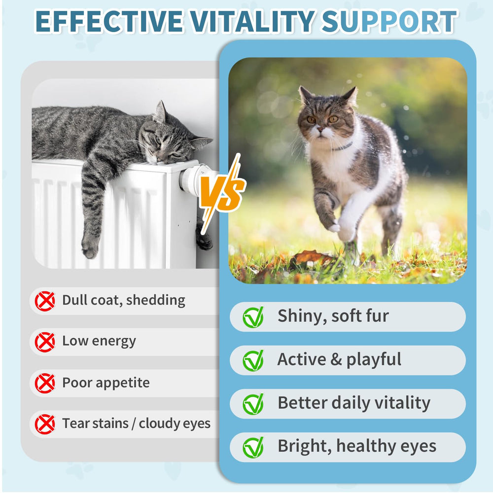 Cudory Cat Multivitamin-zinc-selenium-skin-coat photo showcases shiny coat and healthy skin