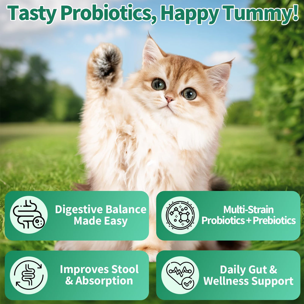 Cudory Cat Probiotics Chews label highlights multi-strain probiotics and natural ingredients.