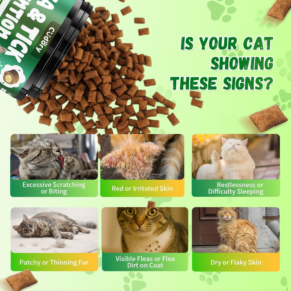 Cudory easy-to-feed chews, no mess or fuss