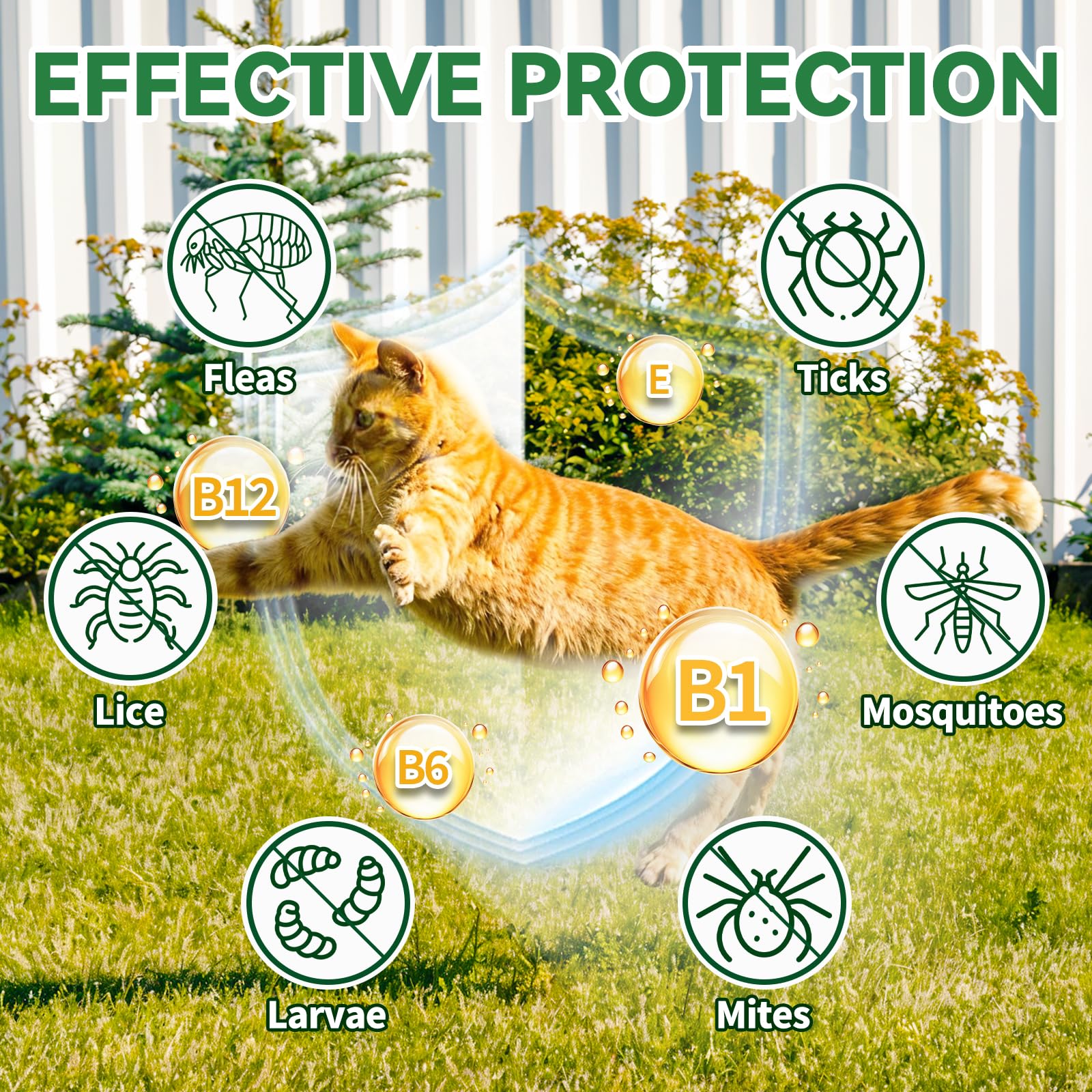 Cudory Flea & Tick Cat Drops dosing by weight demonstrates weight-based dosing for cats.