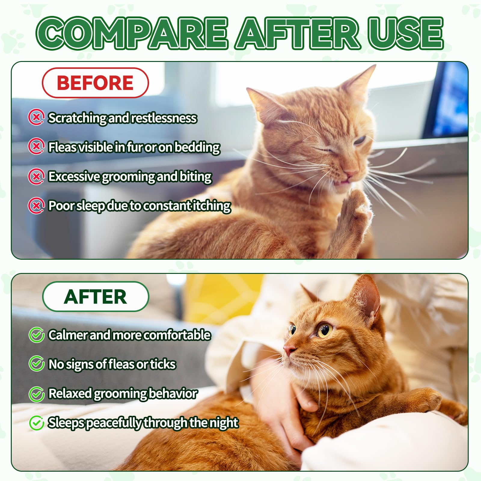 Cudory Flea & Tick Cat Drops in water illustrate versatile dosing and hydration-friendly use.