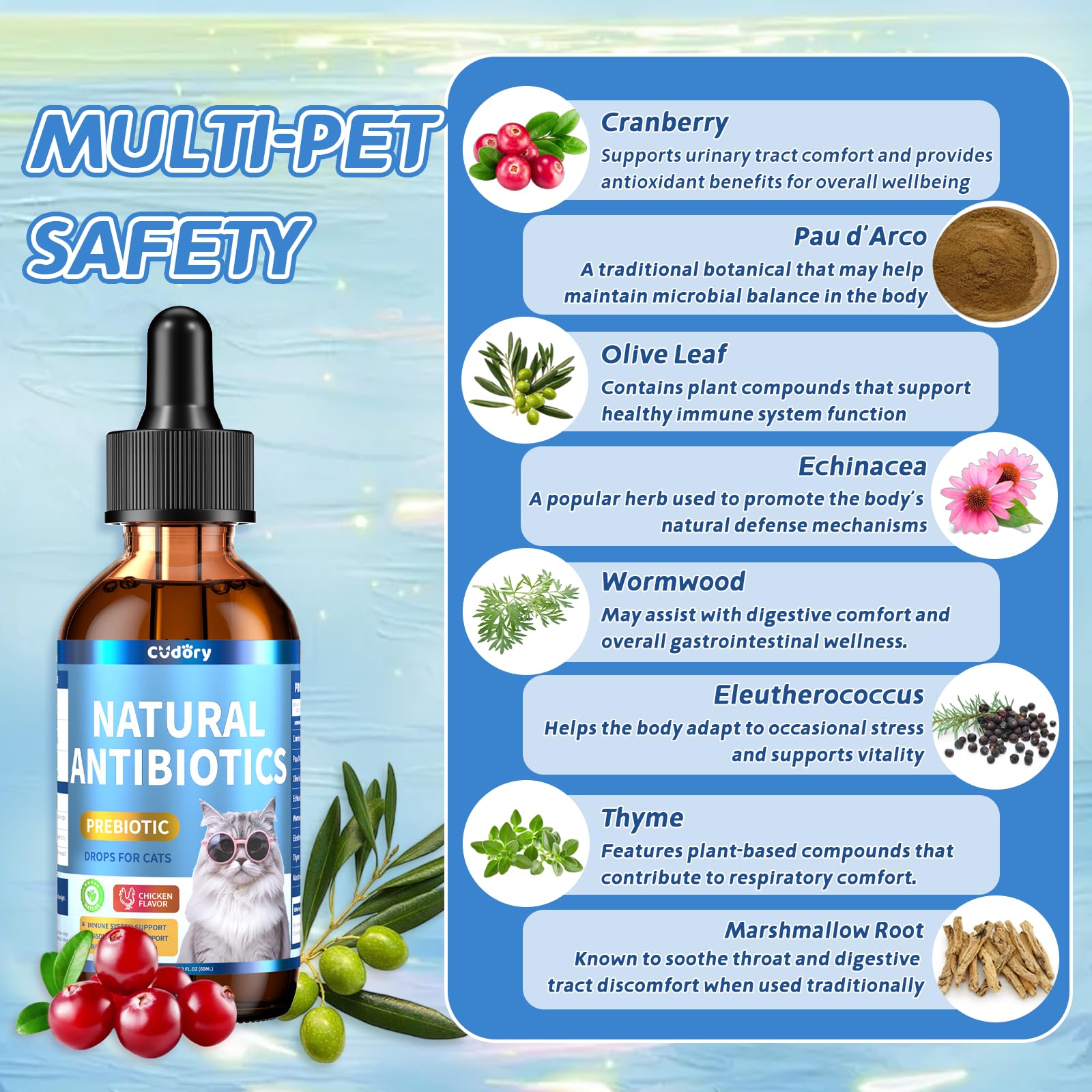 Cudory natural antibiotics for cats dropper usage — easy add to food or water