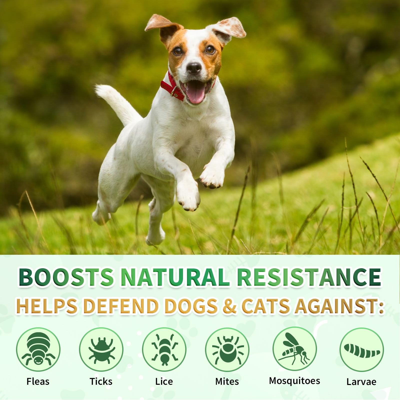 Cudory-natural-herbal-ingredients-pack displays plant-based flea and tick support.