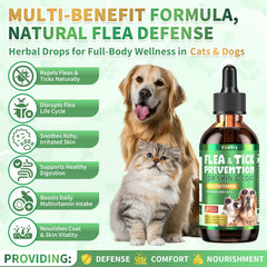 Cudory oral-drops-pets-meal demonstrates easy mixing into food.