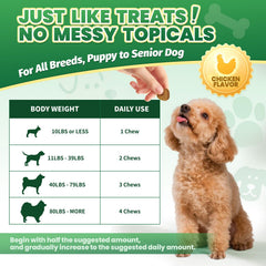 Cudory-soft-chews-textured-piece-closeup highlights gentle texture suitable for picky dogs.
