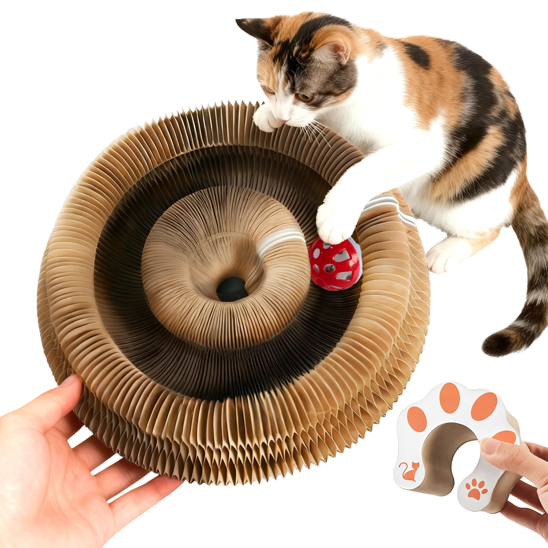 Cufquckl Kitty Toy Magic Organ Board assembled circle showcases versatile scratching and exercise