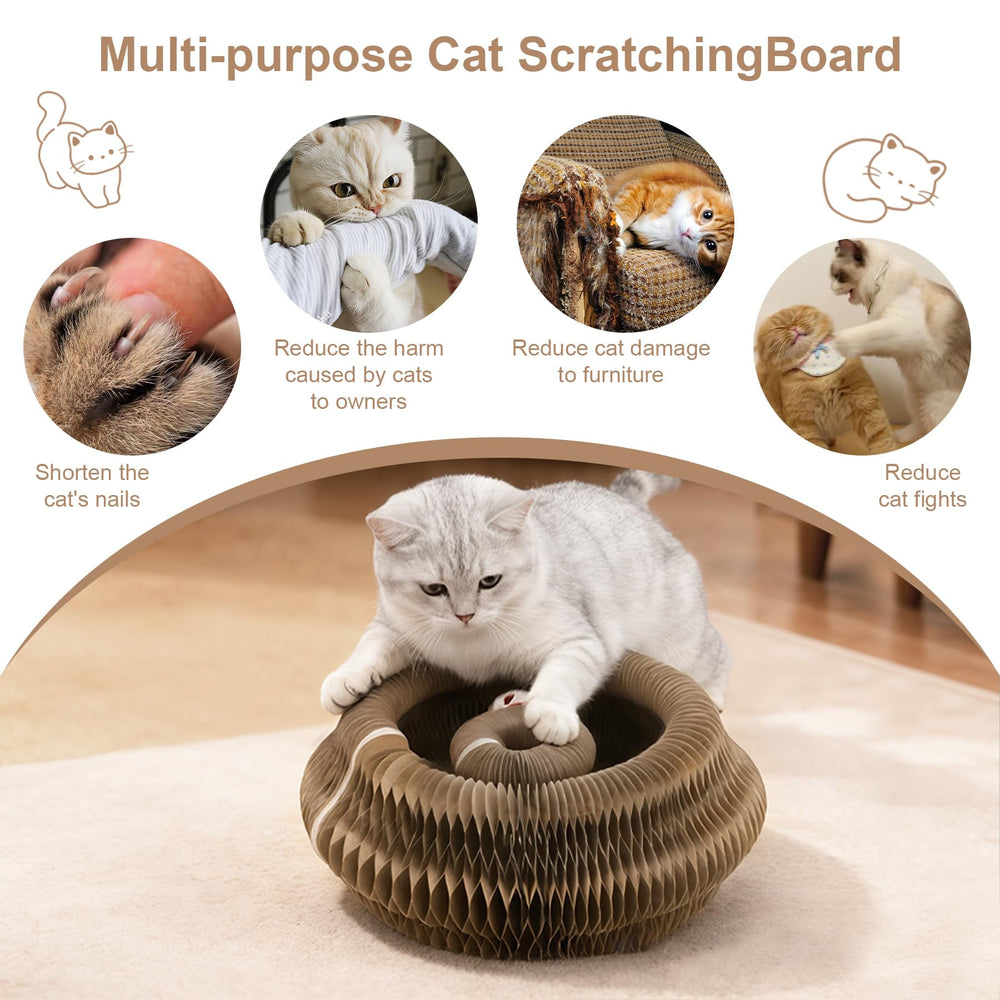 Cufquckl Kitty Toy Magic Organ Board spiral shape invites kittens to explore