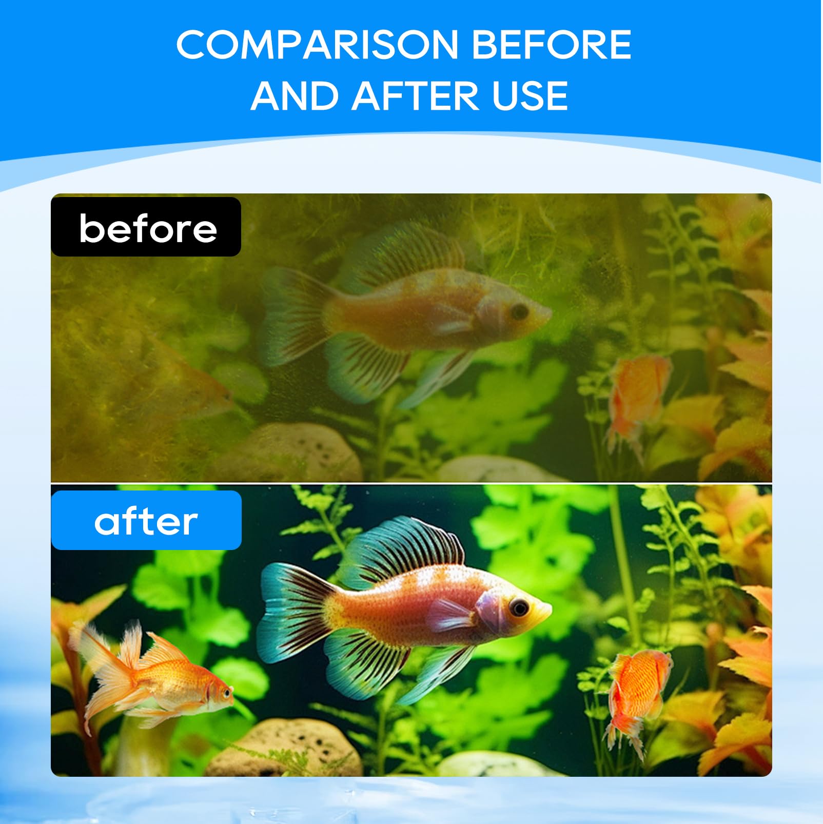 Cunina 12-pack in-use filters maintaining clear water in busy tanks