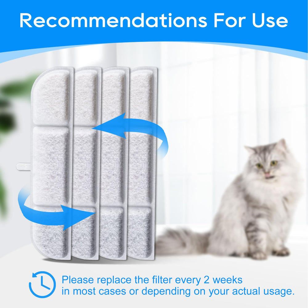 Cunina multi-pet water use supports households with several cats.
