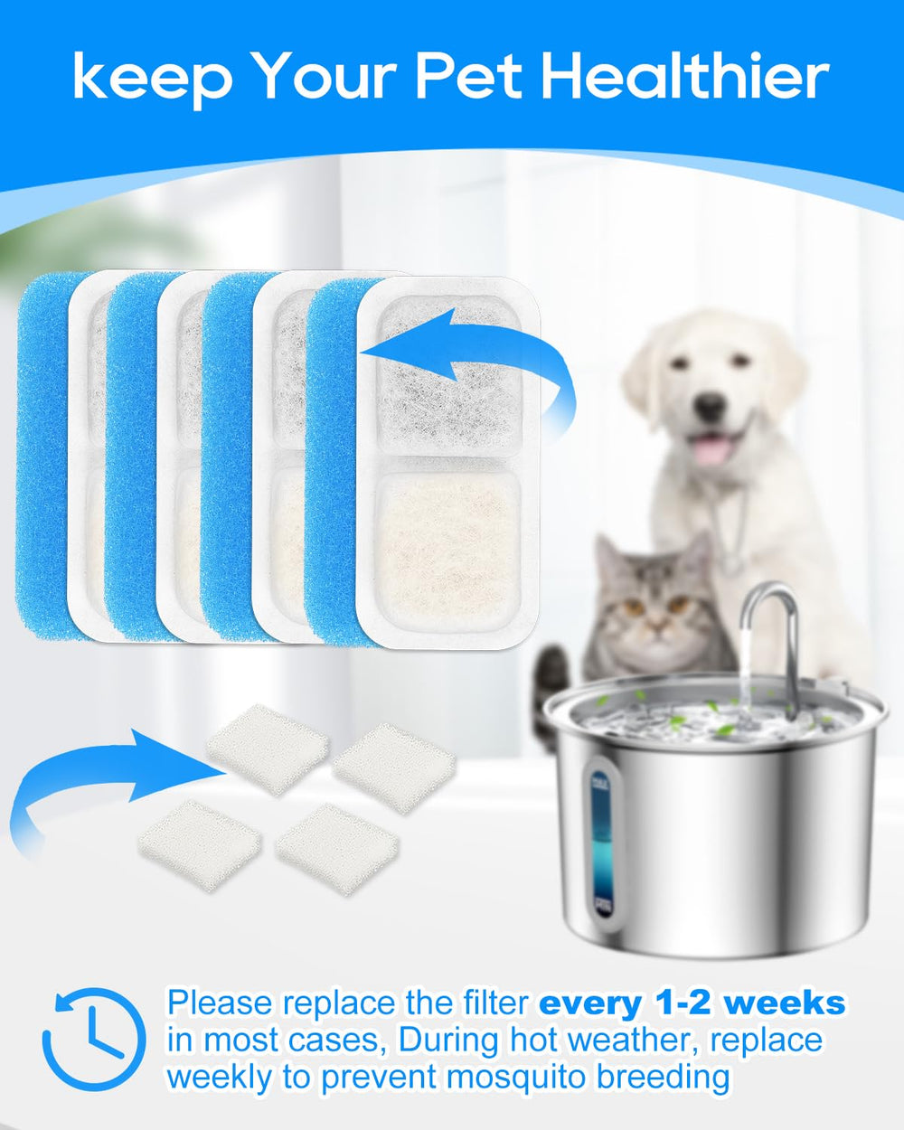 Cunina pre-use soak-rinse visuals show safe activation before serving water