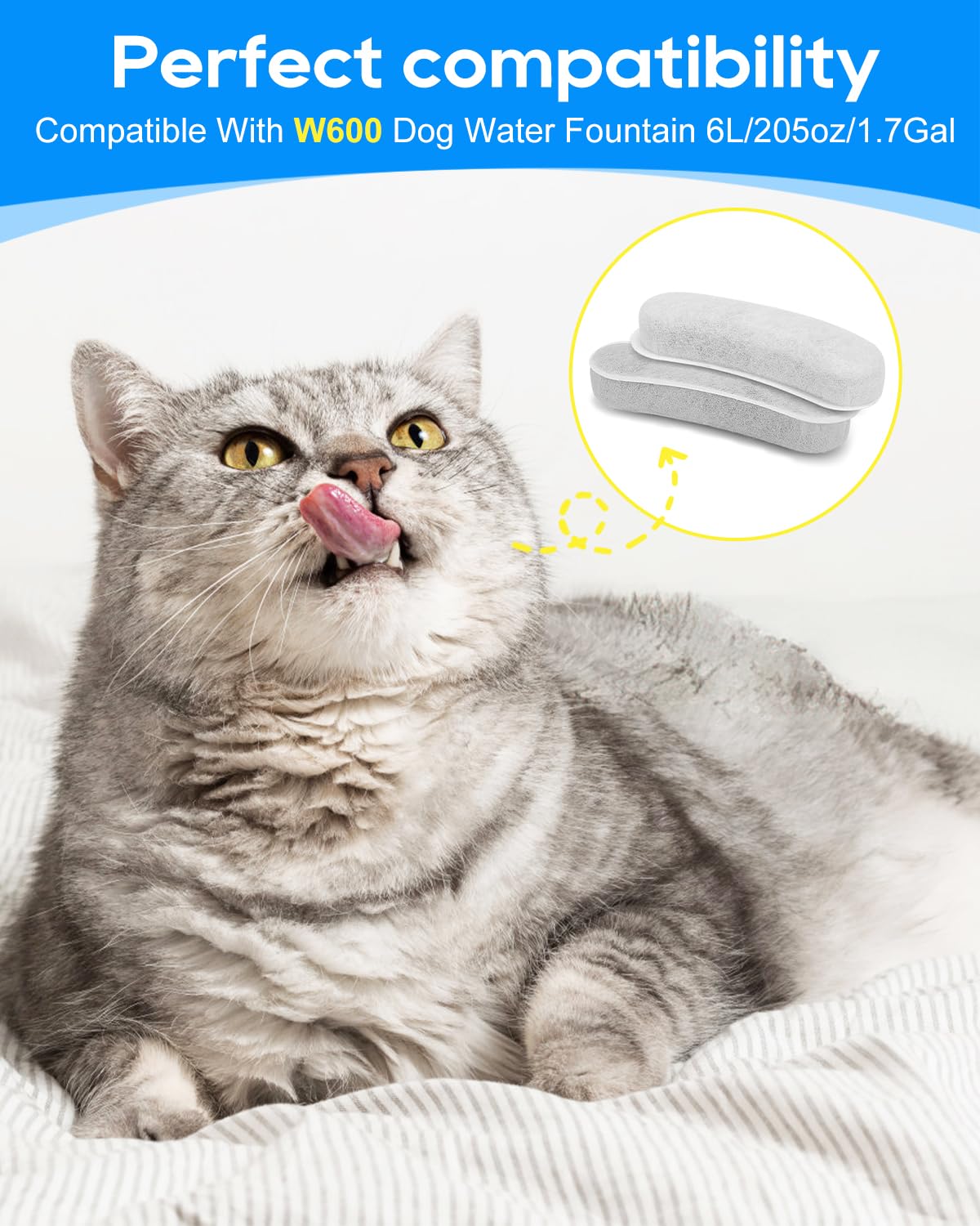 Cunina W600-compatible filter unit shows compatibility with large dog water bowls.