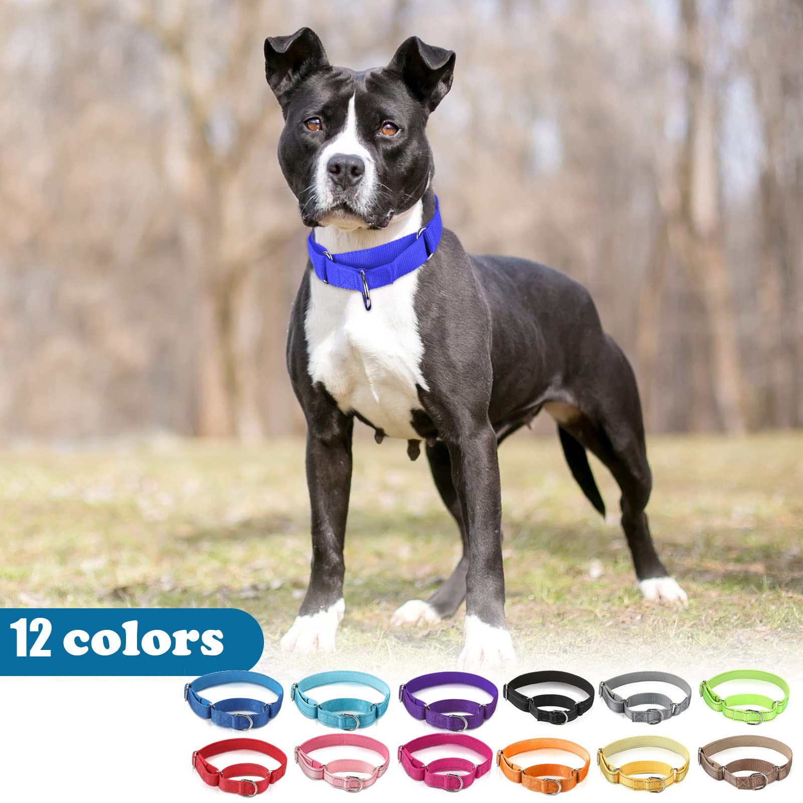 Cunno 12-colors martingale set versatile for every style
