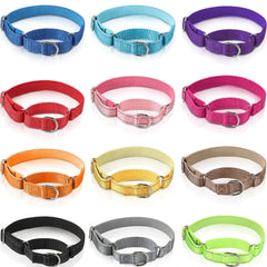 Cunno 12-pcs martingale collar pack with durable buckles for daily walks