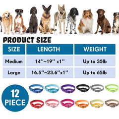 Cunno durable metal buckle martingale collar for secure fit
