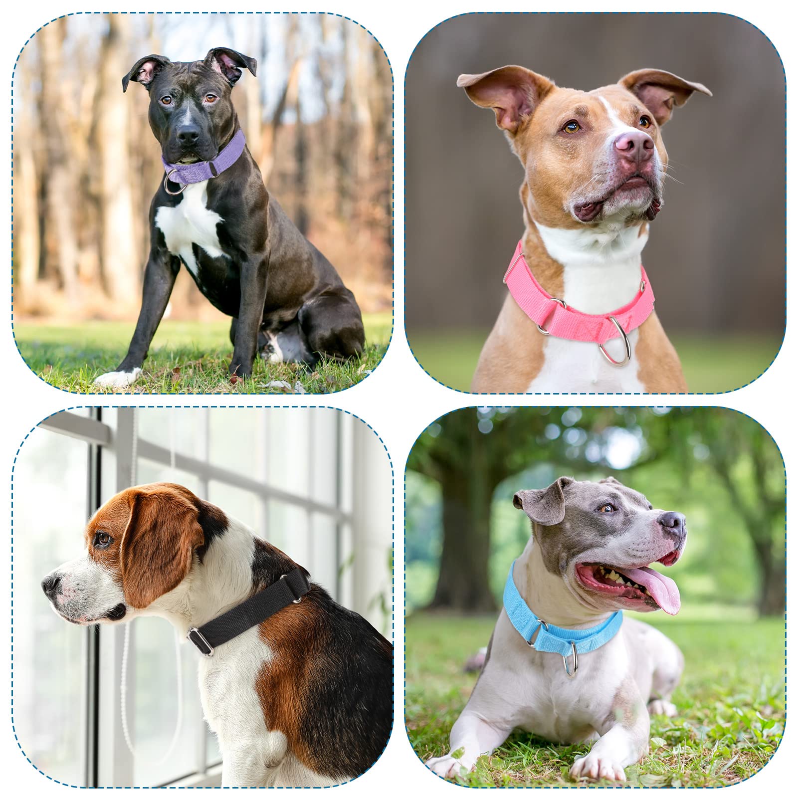 Cunno gift-ready dog collars bulk suitable for gifting