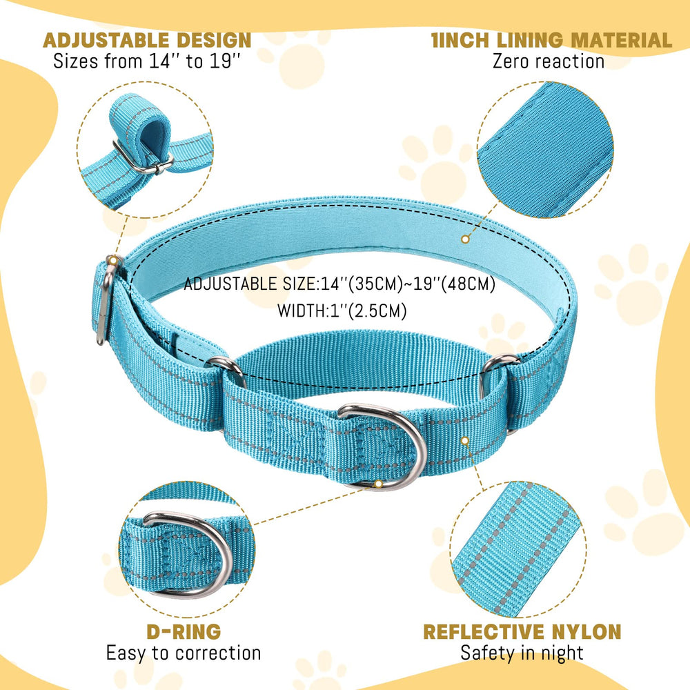 Cunno reflective martingale collar at night for better visibility