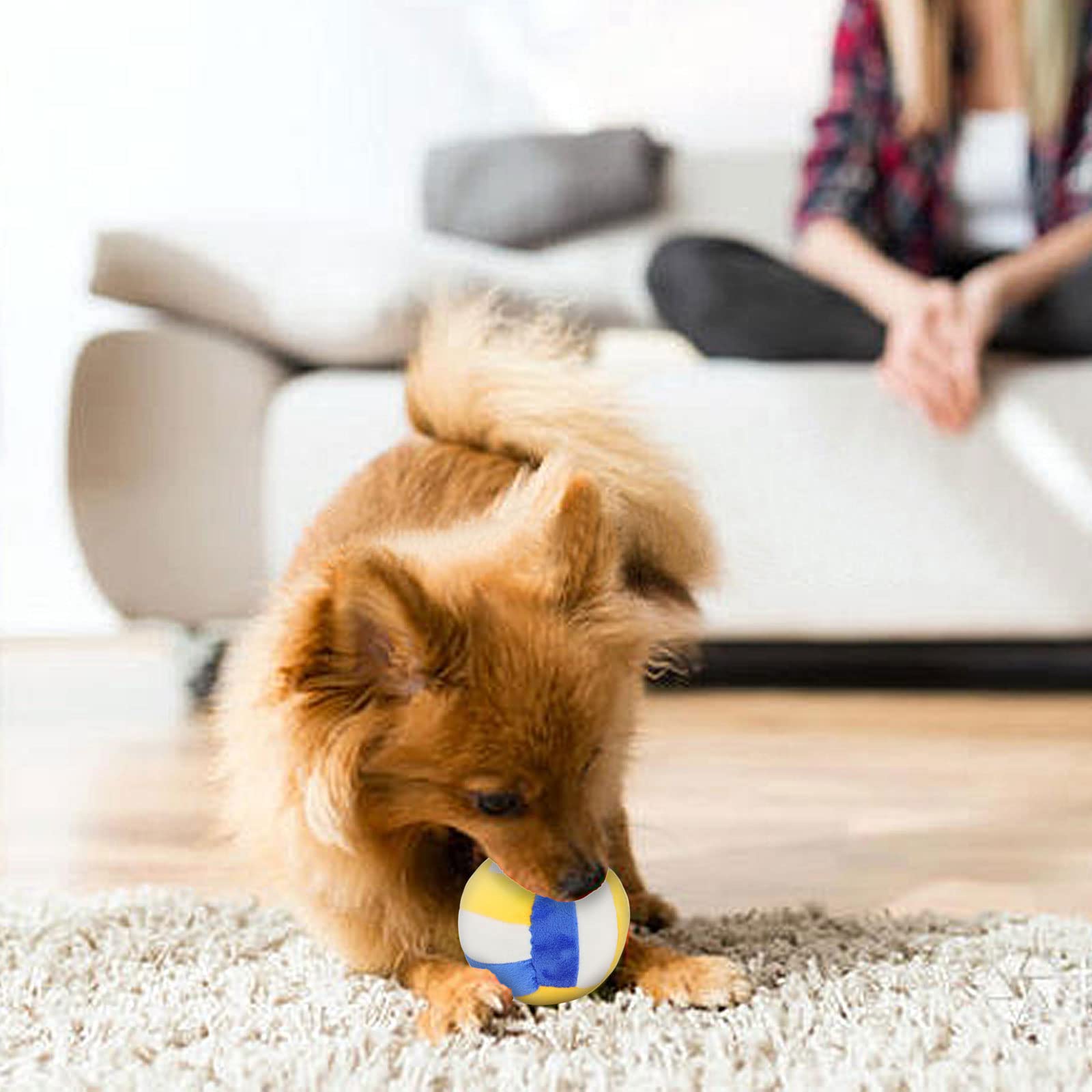 Cuperay interactive dog balls indoor-outdoor use suits everyday fetch routines.
