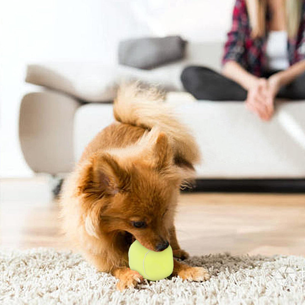 Cuperay Interactive Dog Balls pack – two plush squeaky toys for variety